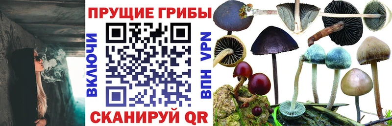 Псилоцибиновые грибы ЛСД  закладки  Россошь 